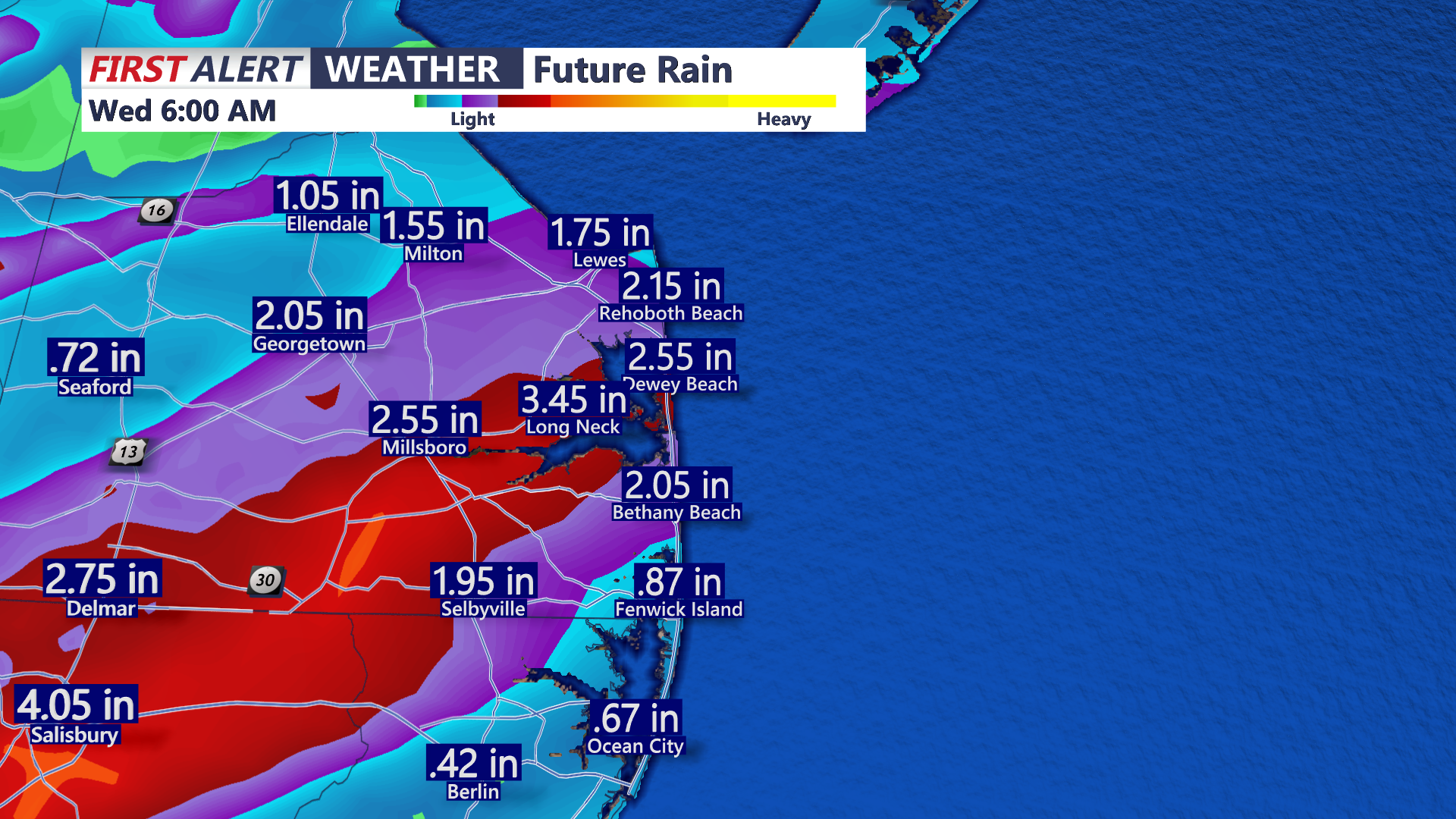 Futurecast Rainfall